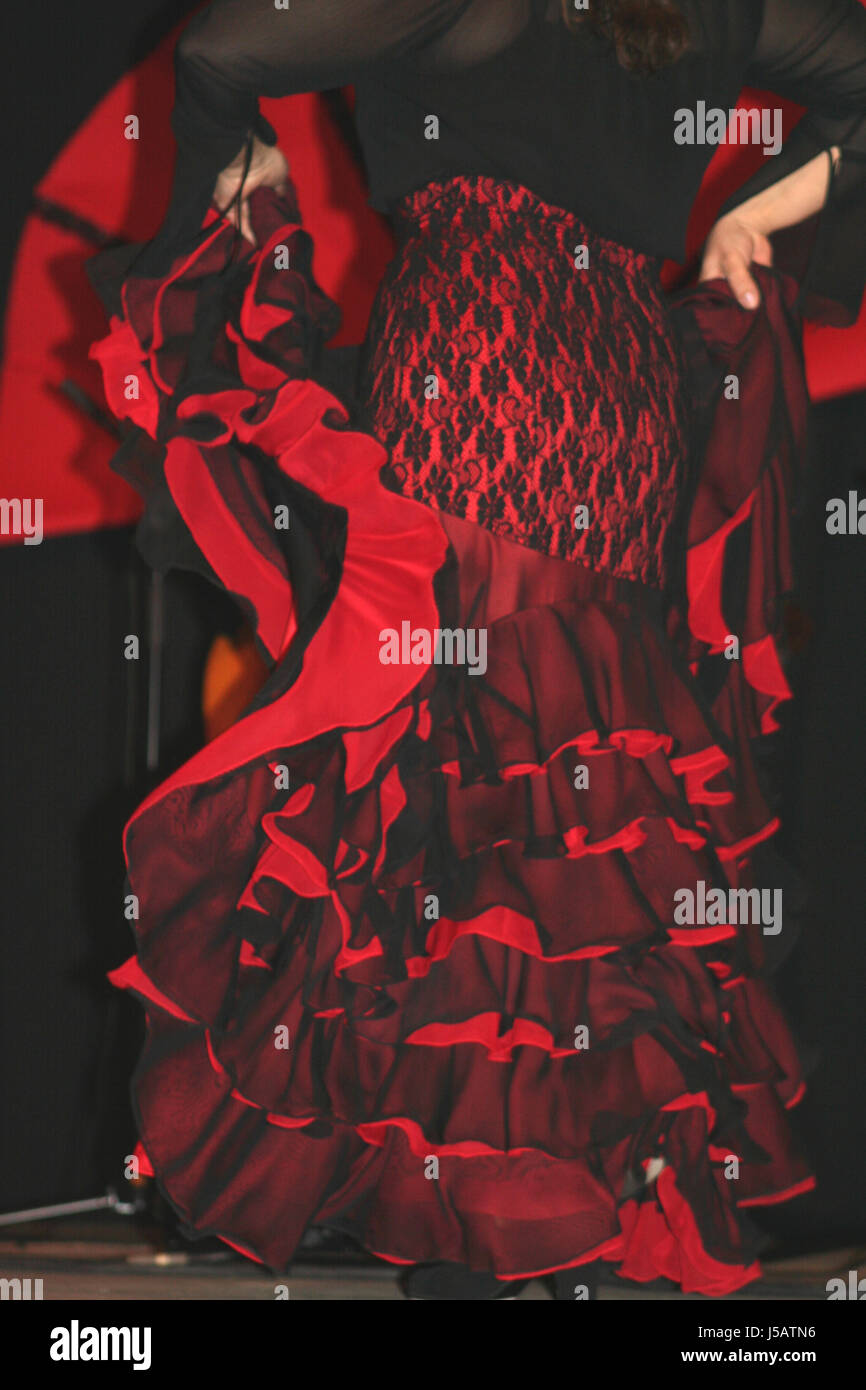 dettaglio di flamenco Foto Stock