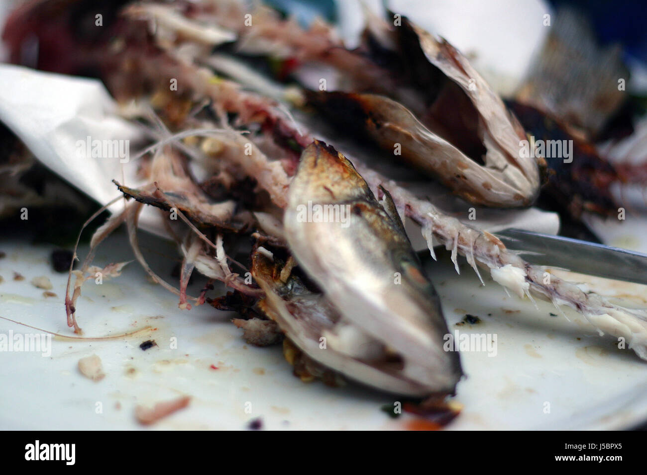 lisca di pesce Foto Stock