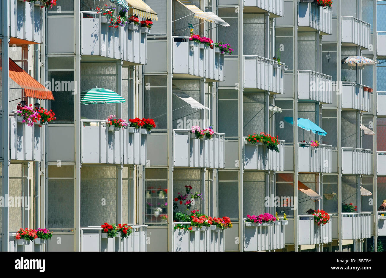 Estate in città Foto Stock