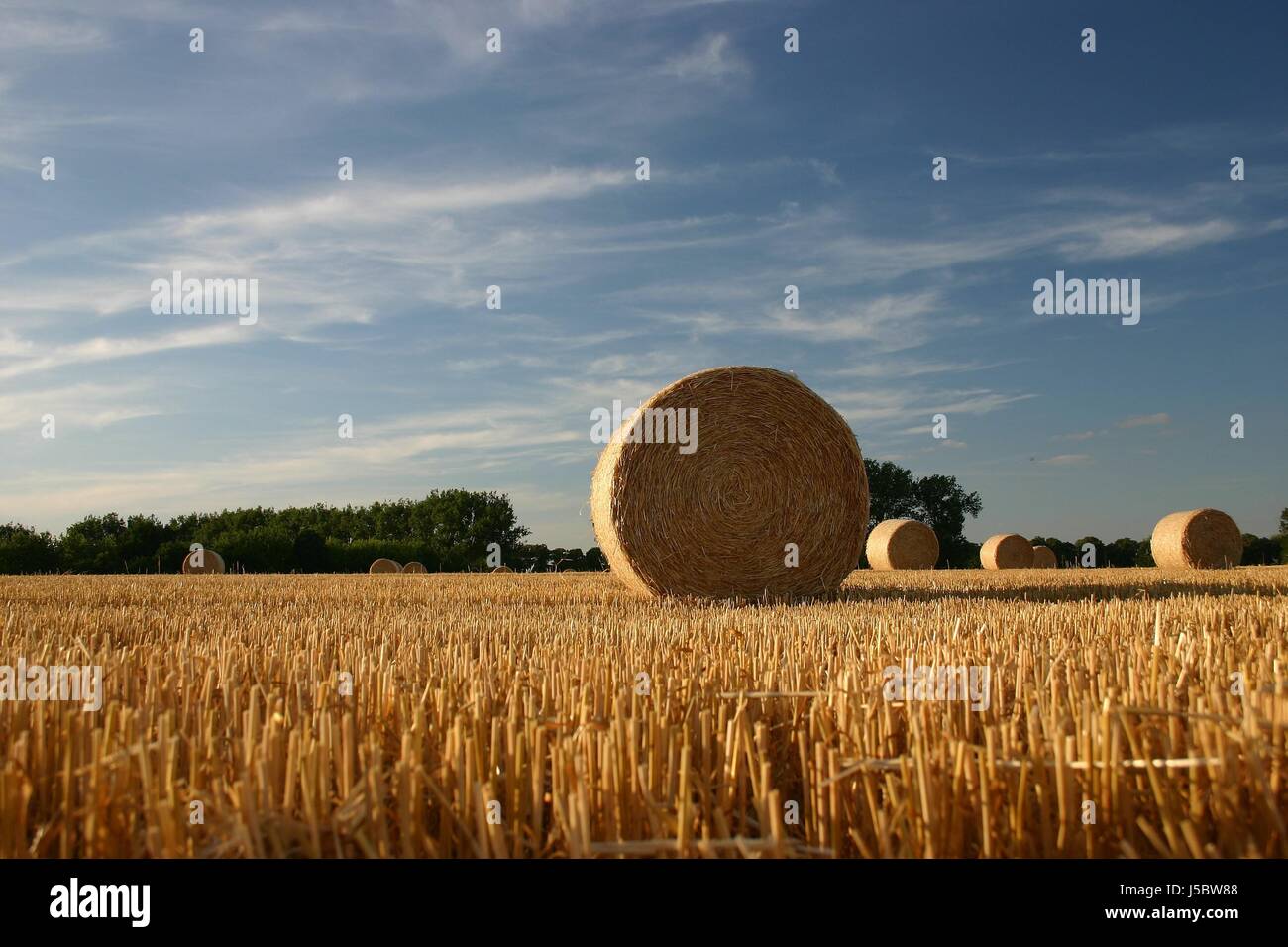 Campo estivo serata summerly luce palla di paglia Paglia Fieno formato paesaggio falciata Foto Stock