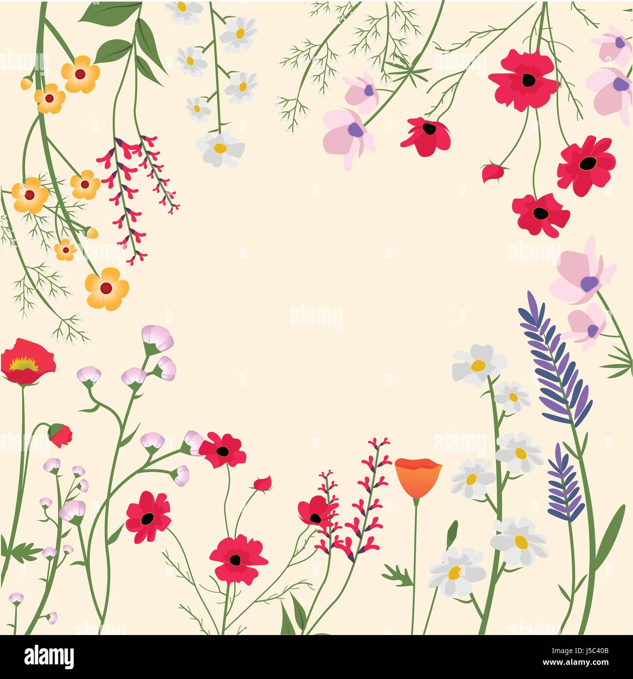 Varietà di fiori selvatici illustrazione vettoriale Illustrazione Vettoriale