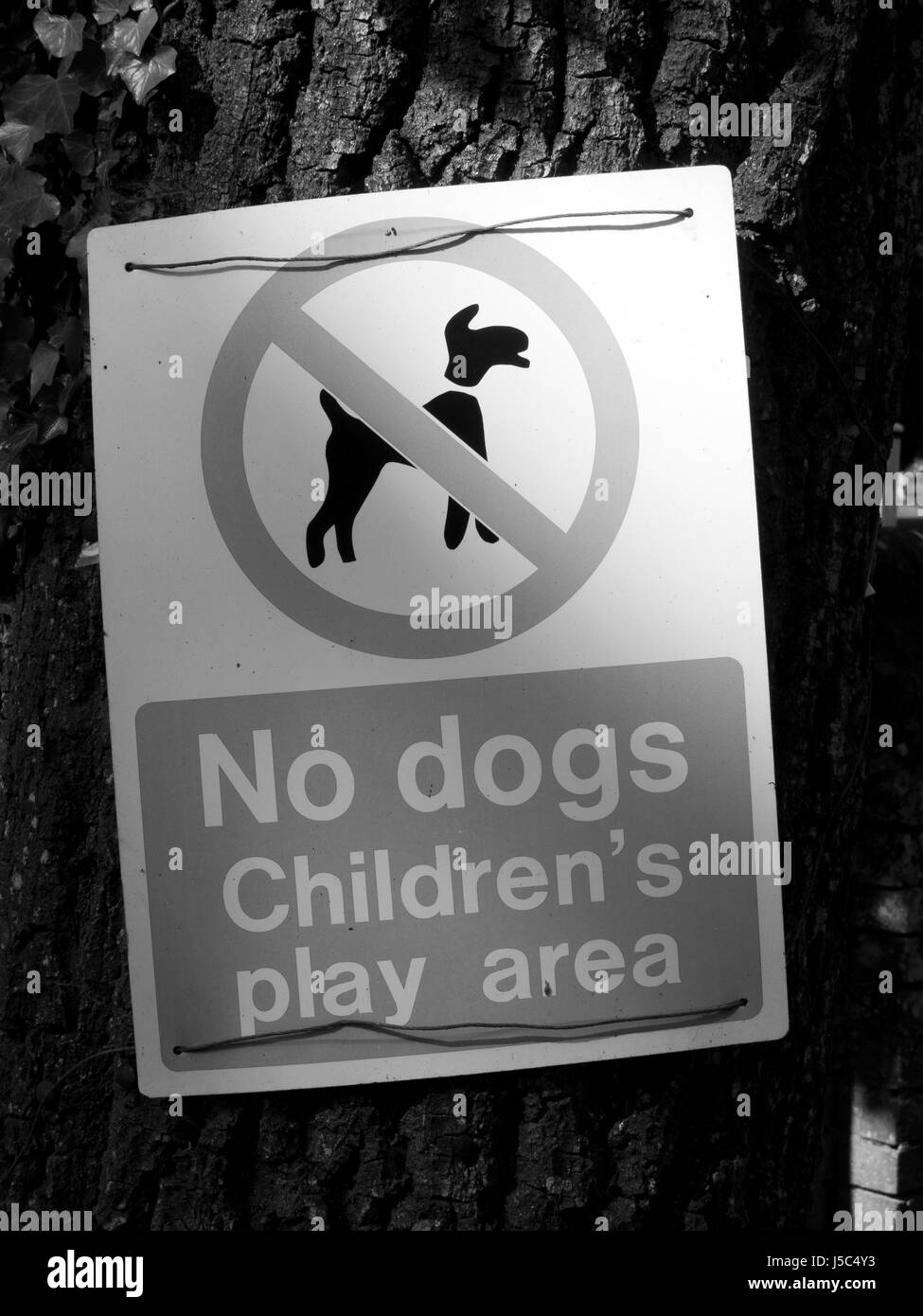 I cani non sono un'area gioco per i bambini un cartello di segnalazione montato sul tronco di albero Foto Stock