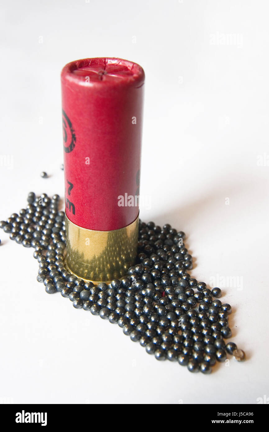 Shotshell con buckshot 2 Foto Stock