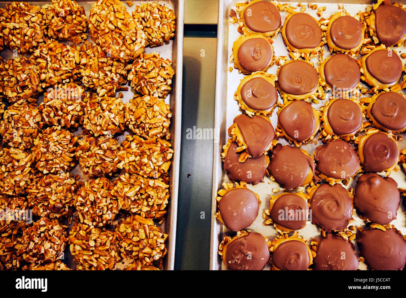 Georgia Savannah,Savannah Historic District,City Market,Savannah's Candy Kitchen,artigianale,Gophers al cioccolato al latte,noci pecan,caramello,cioccolato,vassoio,dolci, Foto Stock