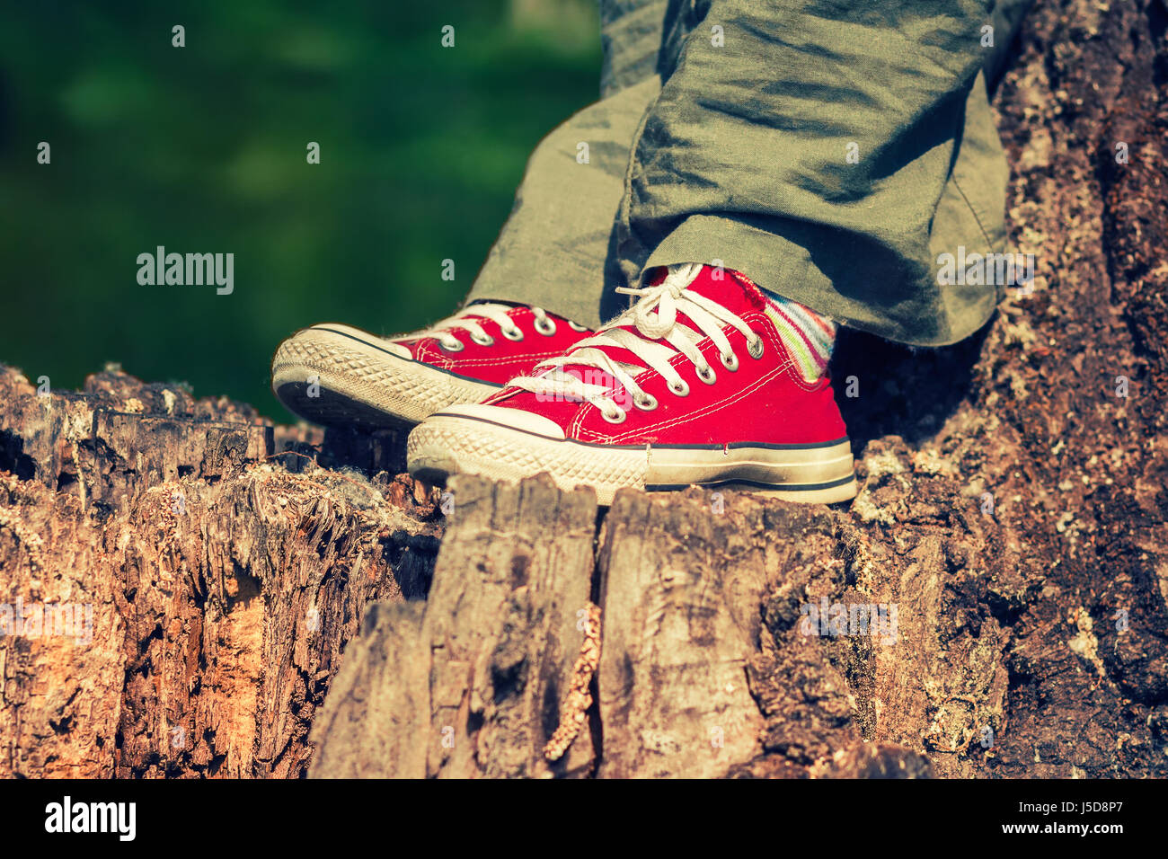 I piedi femminili in rosso brillante sneakers in tela, in piedi su un ceppo di albero, indossando verde pantaloni di lino Foto Stock