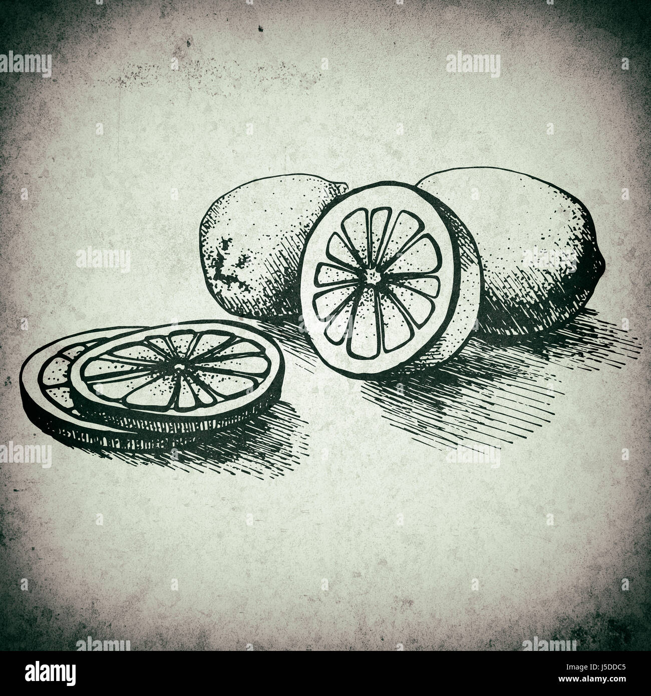 Illustrazione di limone Foto Stock