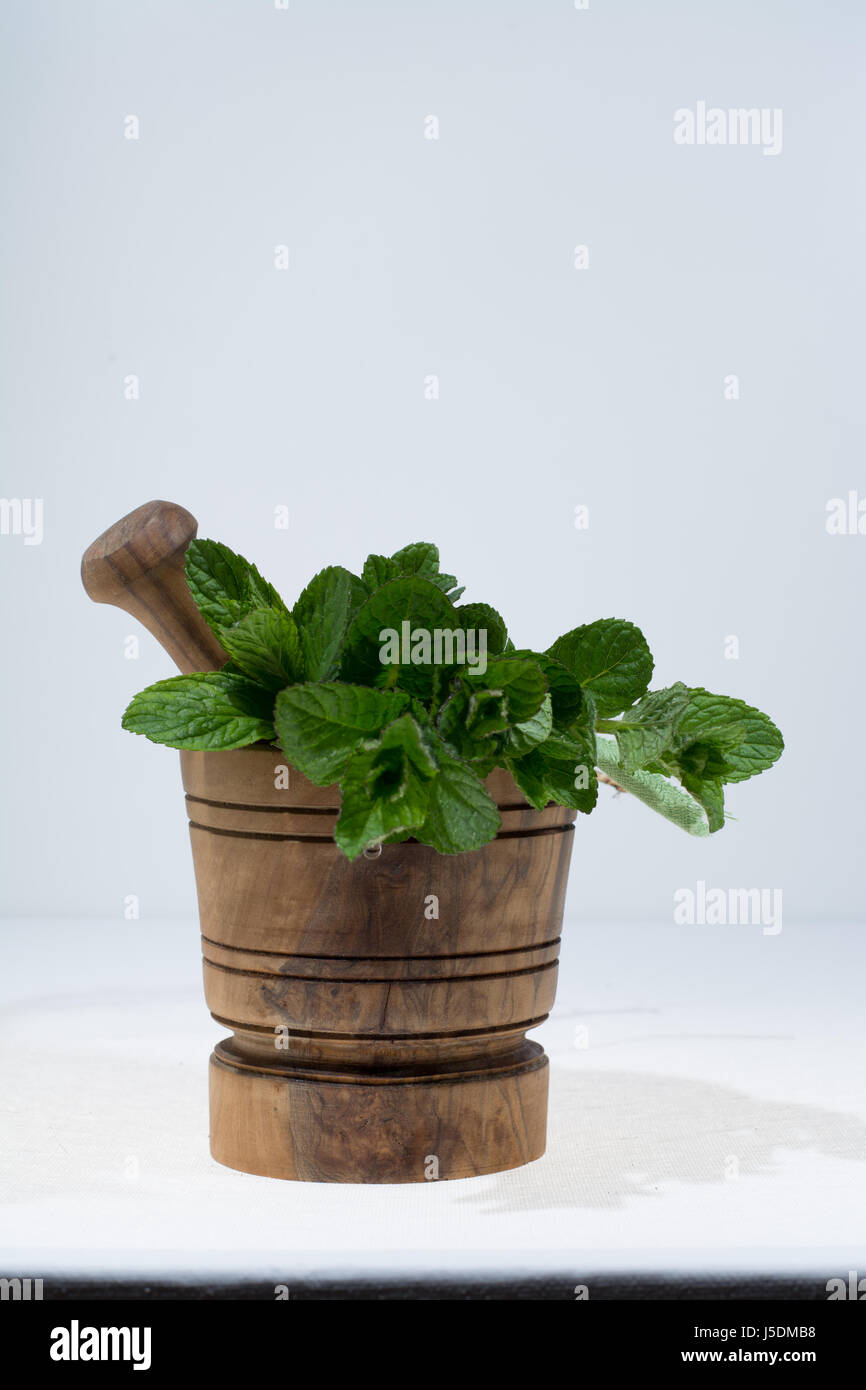 Fresco verde menta in legno d'olivo mortaio Foto Stock