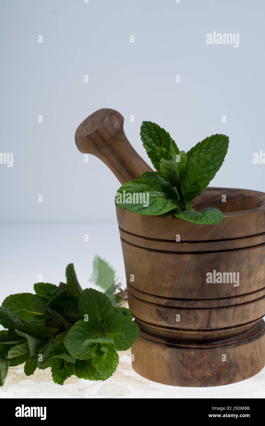 Fresco verde menta in legno d'olivo mortaio Foto Stock