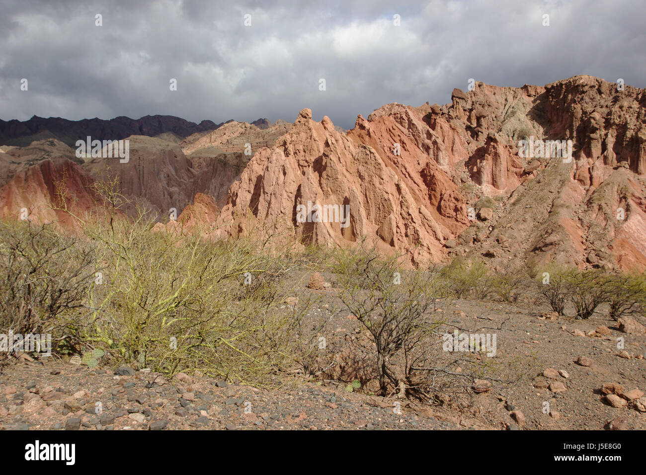 Quebrada de las Conchas (Quebrada de Cafayate), Provincia di Salta, Argentina Foto Stock