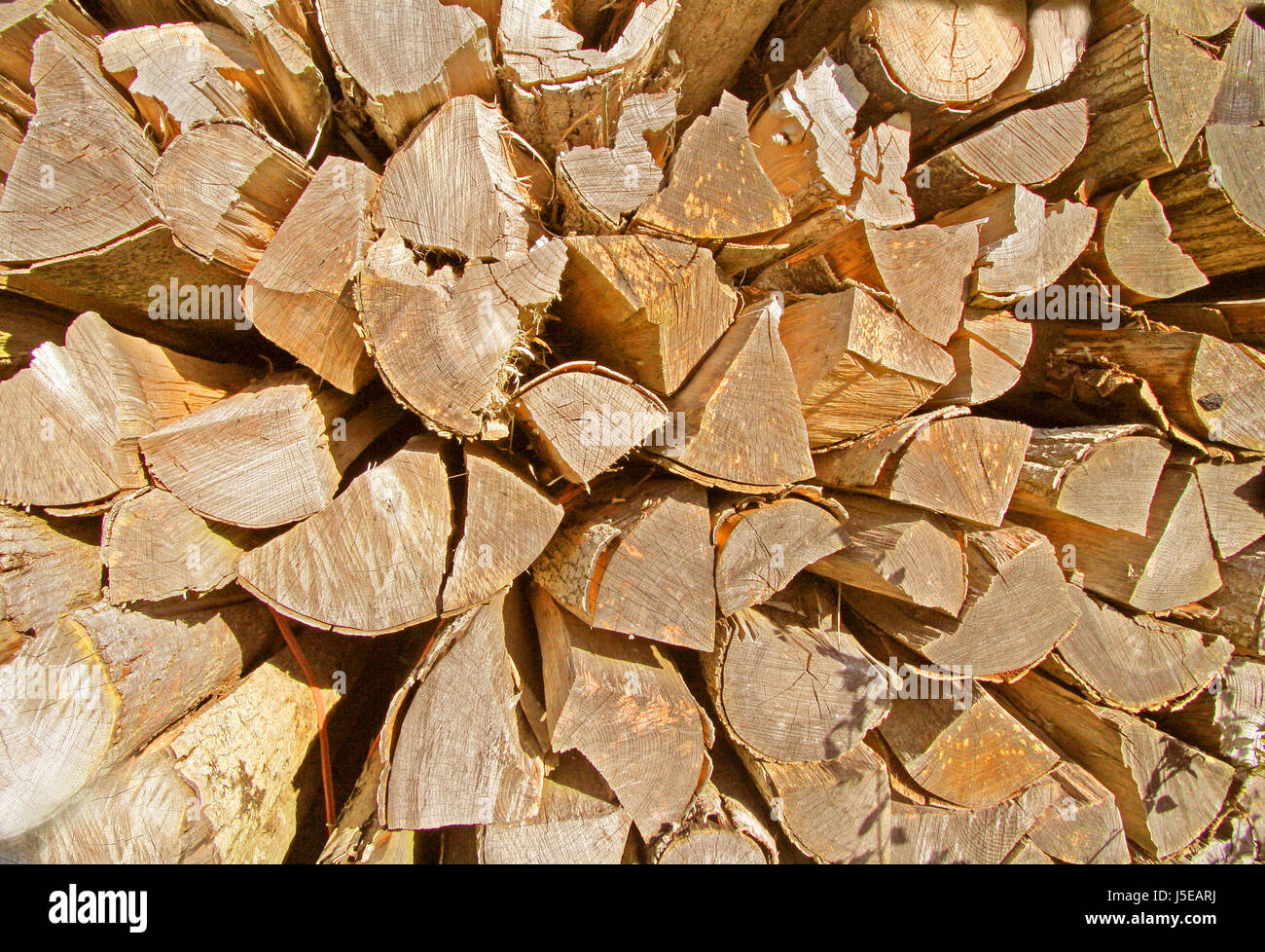 Albero legno legna da ardere gli anelli annuali lumbers woodpile rifinito in legno doghe in legno Foto Stock