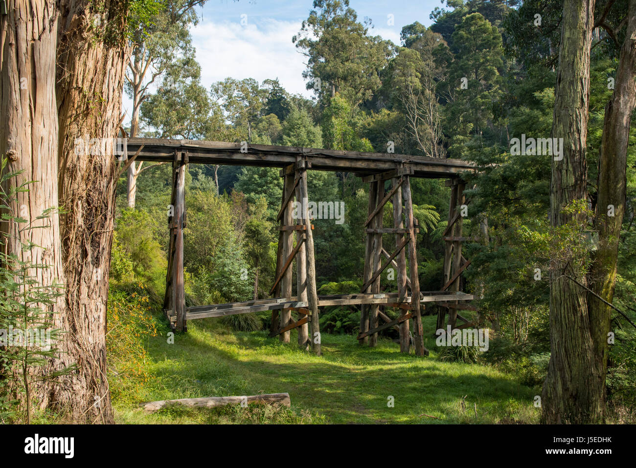 Selby Ponte a traliccio, Melbourne, Victoria, Australia Foto Stock