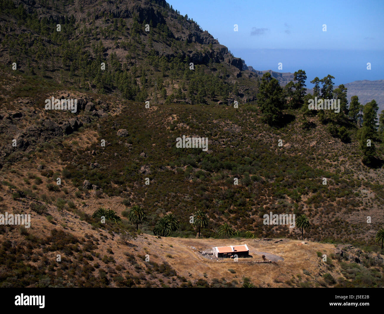 Costruzione casa home casa di abitazione residenziale tree alberi orizzonte Foto Stock