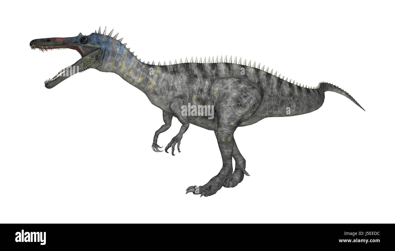 3D rendering di un dinosauro Suchomimus o Suchomimus tenerensis isolati su sfondo bianco Foto Stock