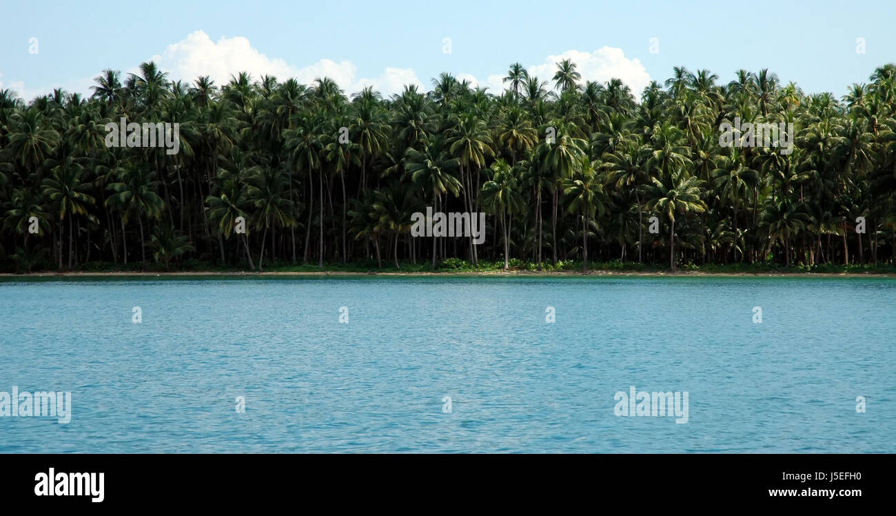 Casa vacanze vacanze vacanze palms Tailandia Isole di acqua di sale di mare Foto Stock