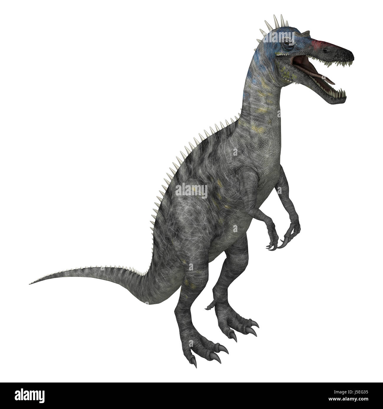3D rendering di un dinosauro Suchomimus o Suchomimus tenerensis isolati su sfondo bianco Foto Stock
