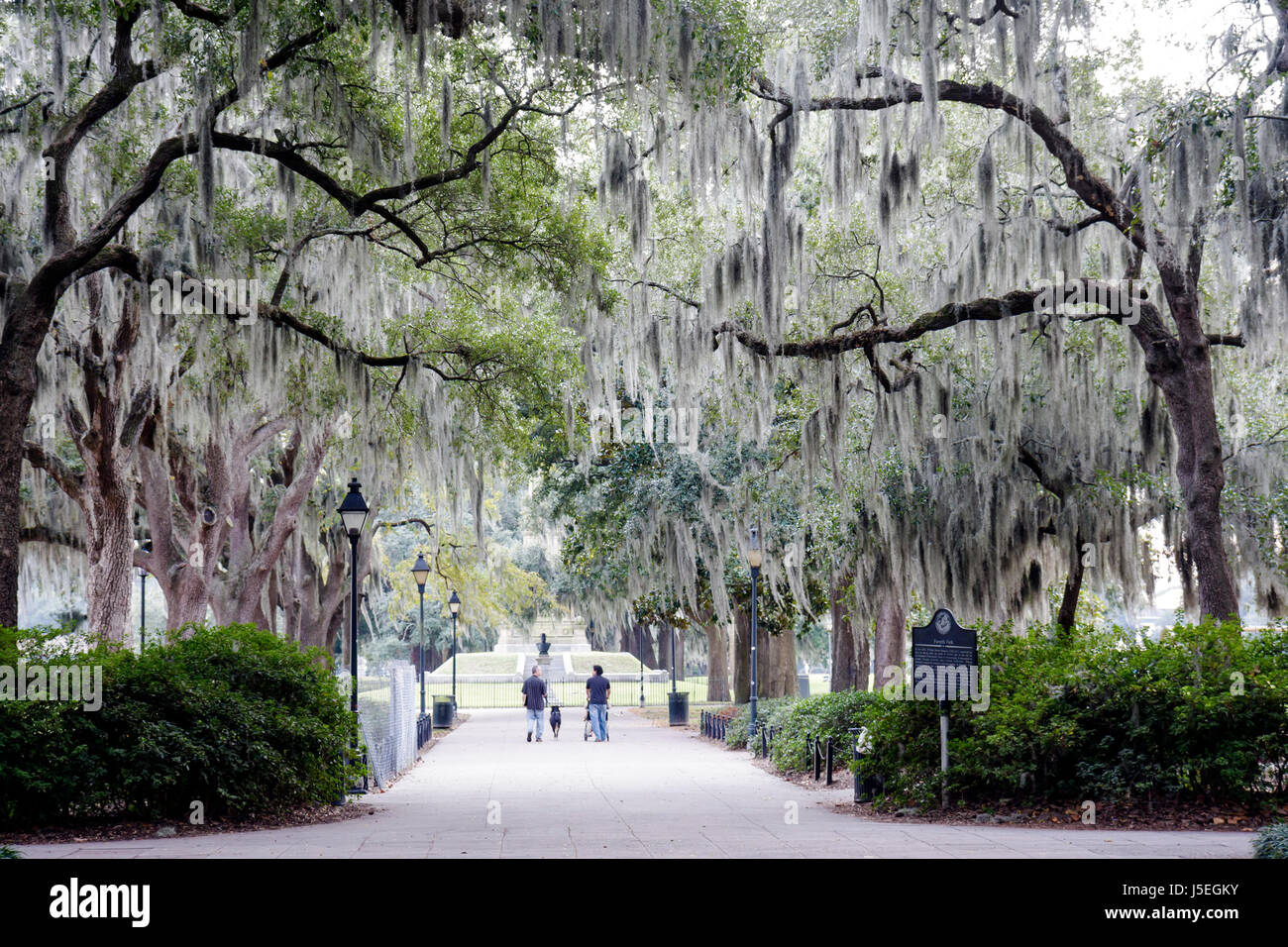 Georgia Savannah, Savannah Historic District, Forsyth Park, percorso ombreggiato, muschio drappeggiato alberi, uomo uomini maschio adulti, donna donna donna donna donna donna donna donna donna, cane d Foto Stock