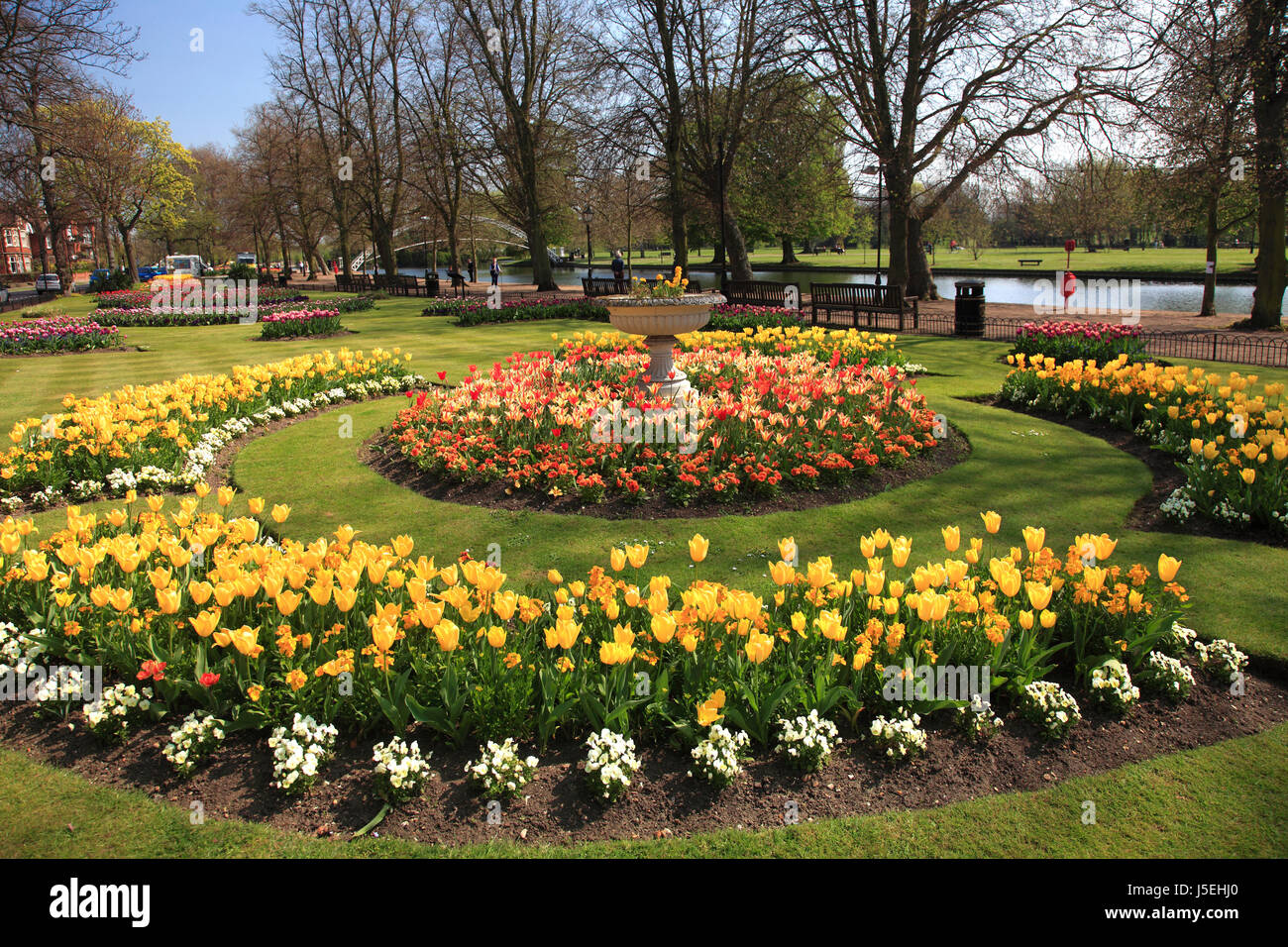 Fiori di Primavera, il Fiume Great Ouse terrapieno, Bedford città; Bedfordshire County, England, Regno Unito Foto Stock