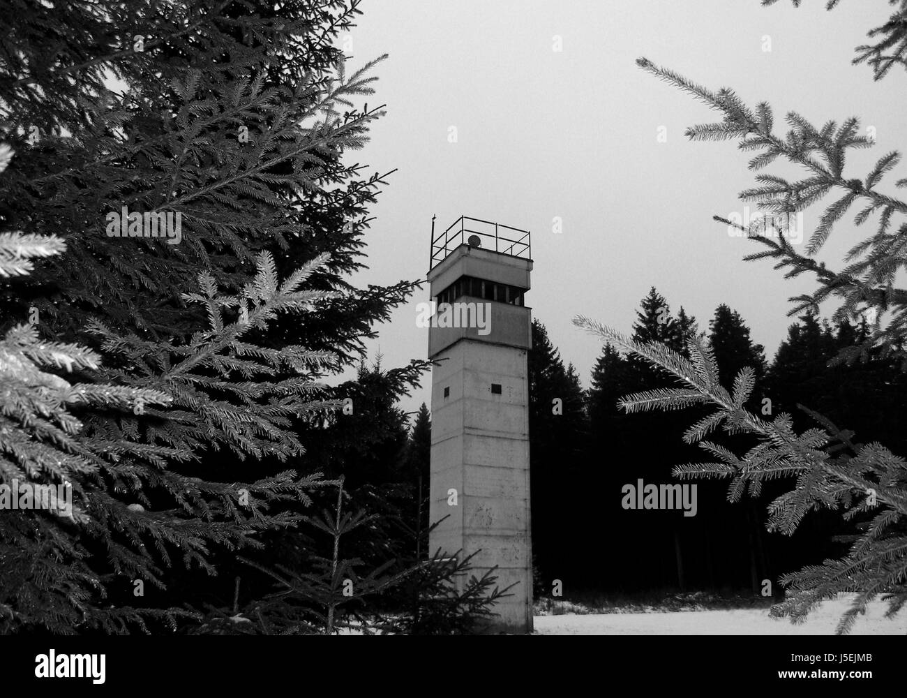 Controllare storia torre memorial tree alberi vigile museo soldati di recinzione monitoring Foto Stock