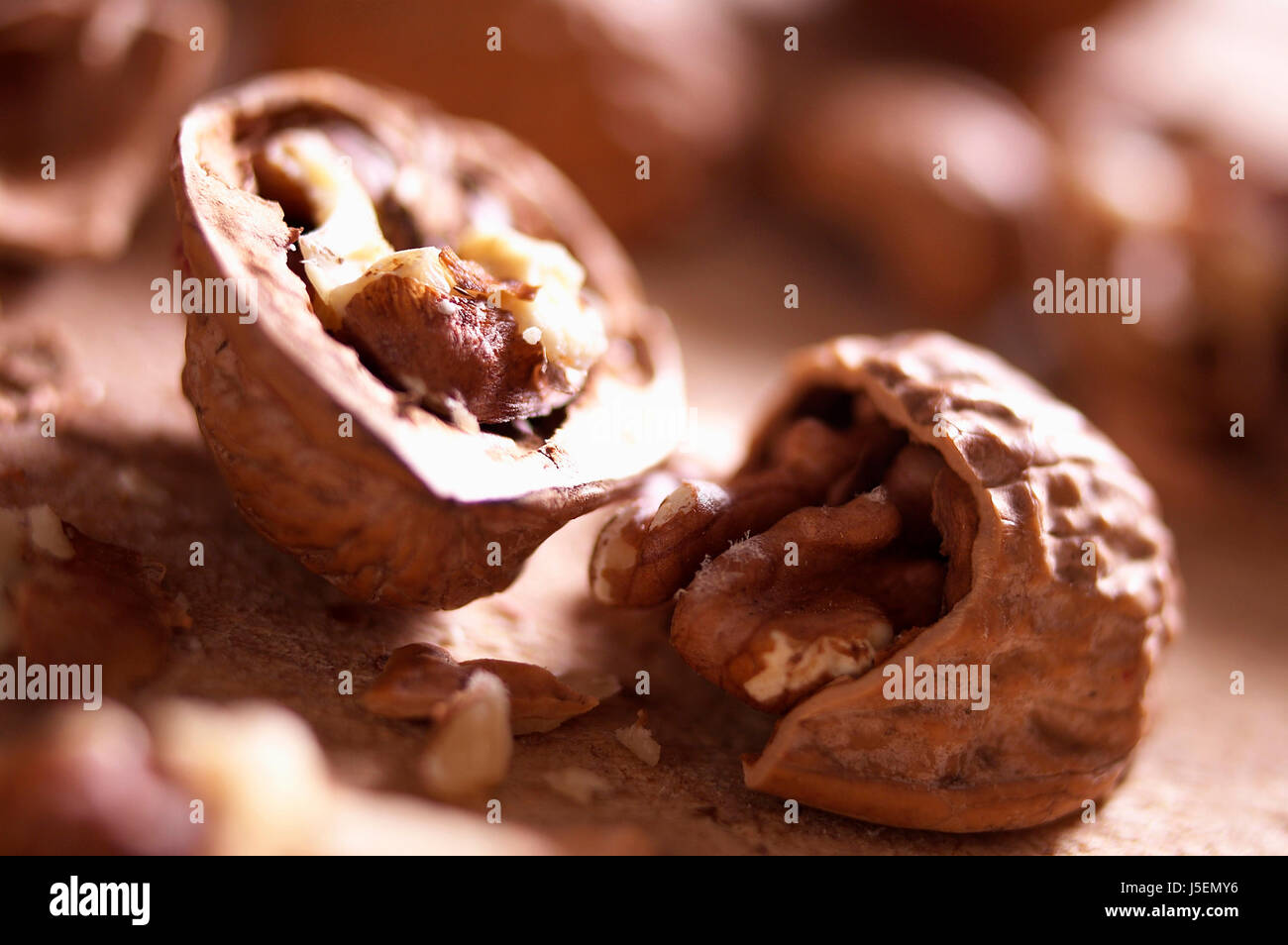 Noce Juglans regia, Studio shot di aprire il dado. Foto Stock
