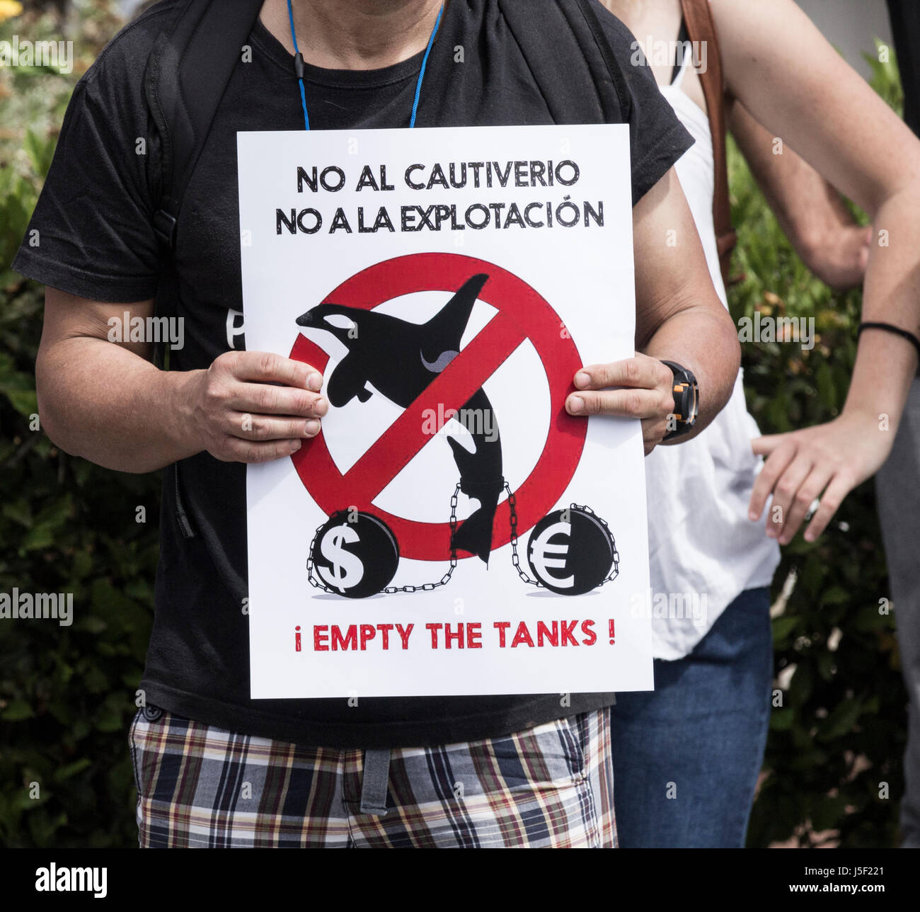 Diritti degli animali manifestanti al di fuori del Loro Parque acquario a Puerto de la Cruz Tenerife, Isole Canarie, Spagna Foto Stock