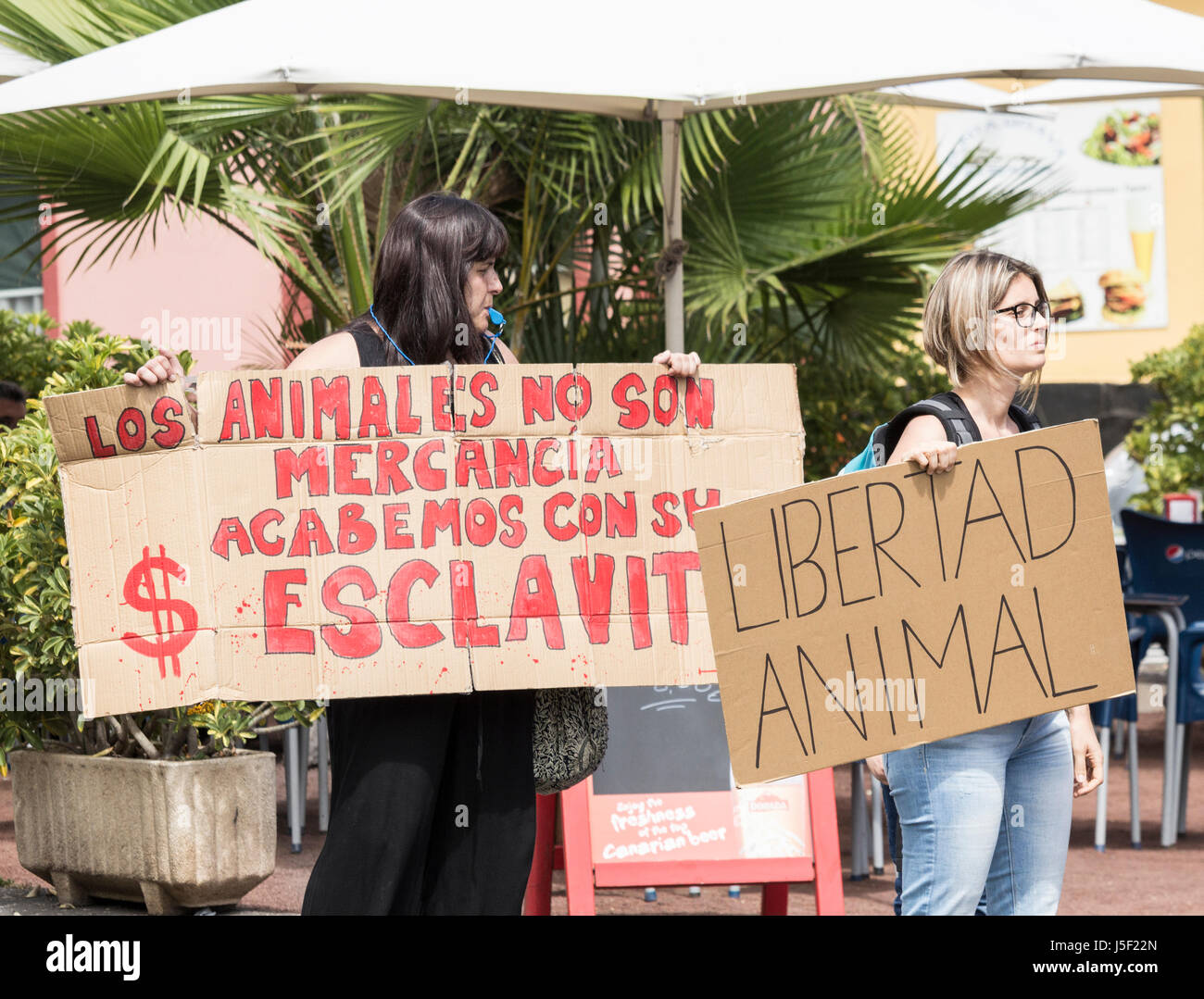 Diritti degli animali manifestanti al di fuori del Loro Parque acquario a Puerto de la Cruz Tenerife, Isole Canarie, Spagna Foto Stock