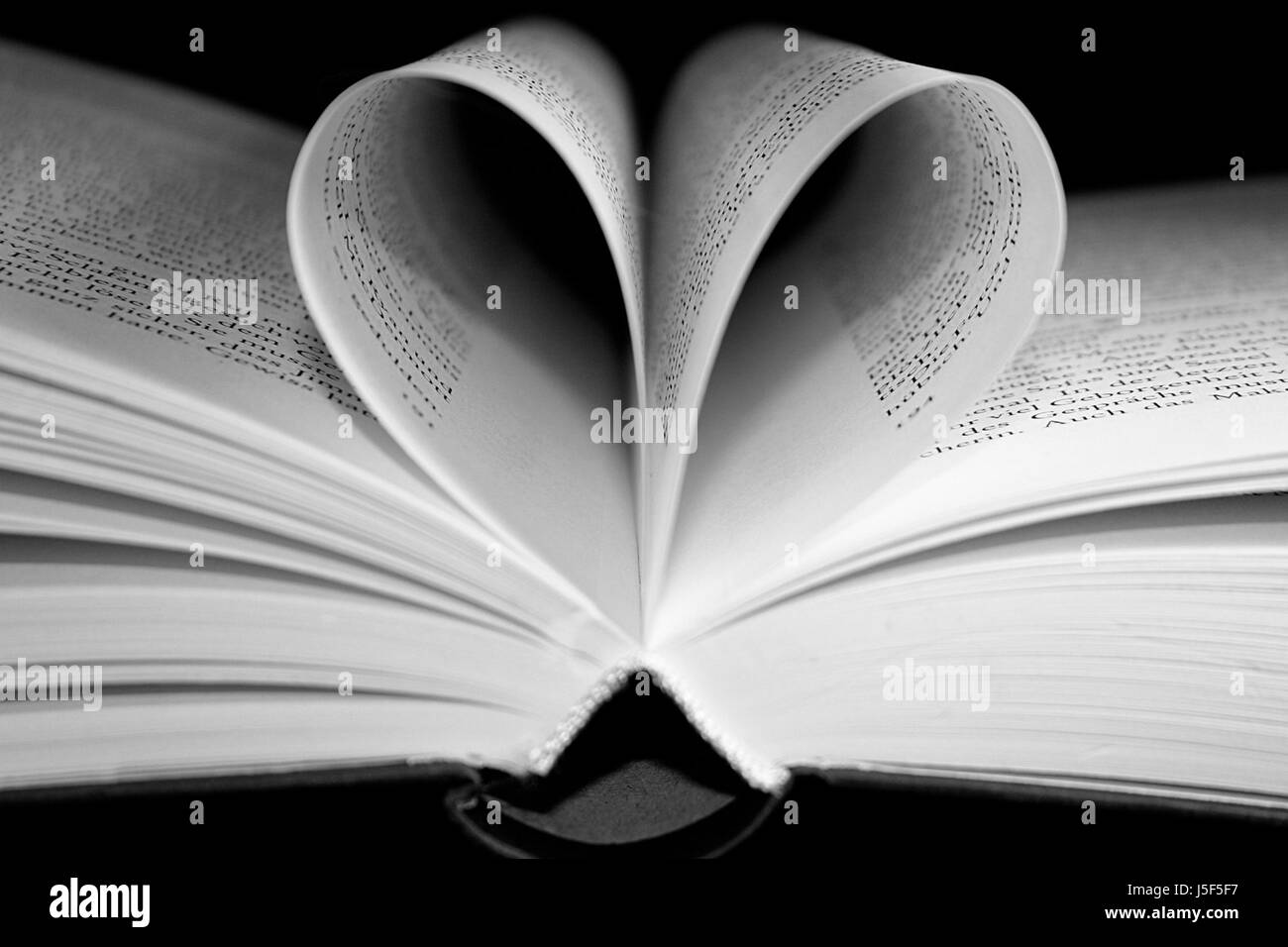 L'istruzione di scrittura tipografia font book pagine inclinate pagine amore bookpage in amore Foto Stock