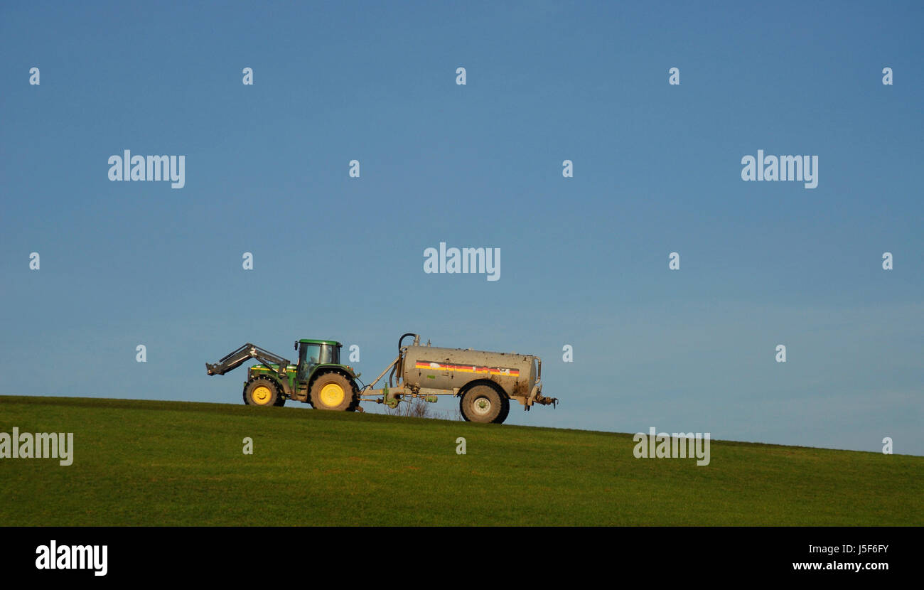 tempo di letame Foto Stock