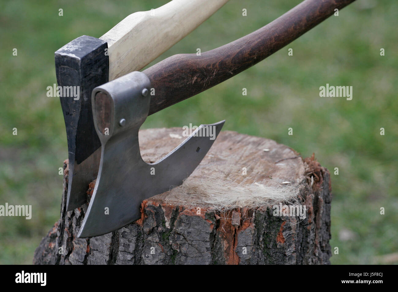Strumento di legno ad albero nuovo metallo acciaio materiale greggio tritare la lama dello stelo della levetta blunt ax Foto Stock
