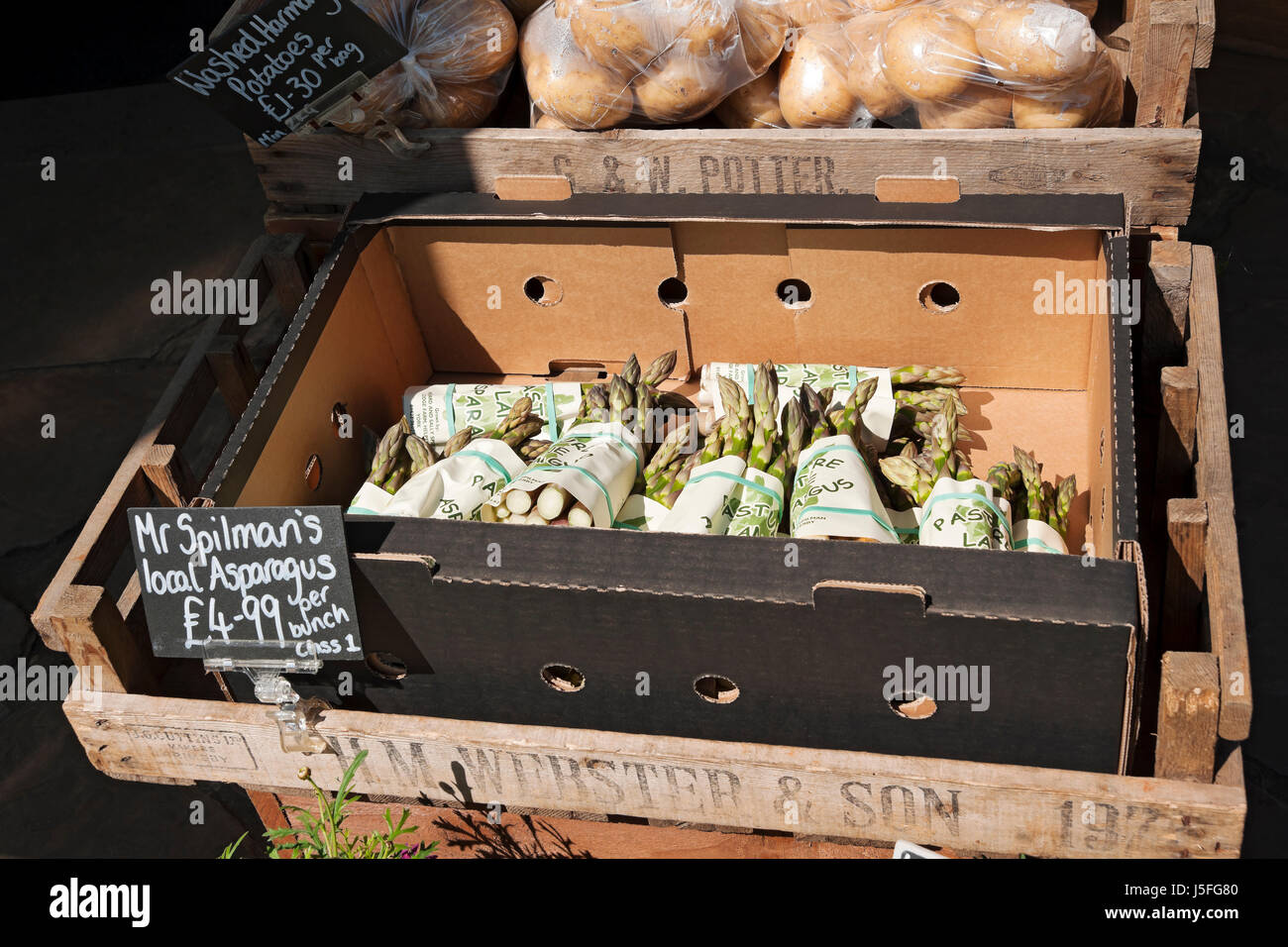 Grappoli di asparagi freschi per la vendita al negozio di greengrocers Inghilterra Regno Unito GB Gran Bretagna Foto Stock