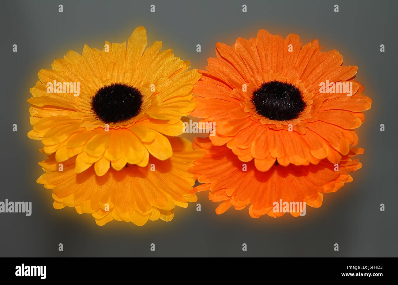 Fiore fiori piante decorazione di mirroring glow giallo arancio stoffblumen Foto Stock