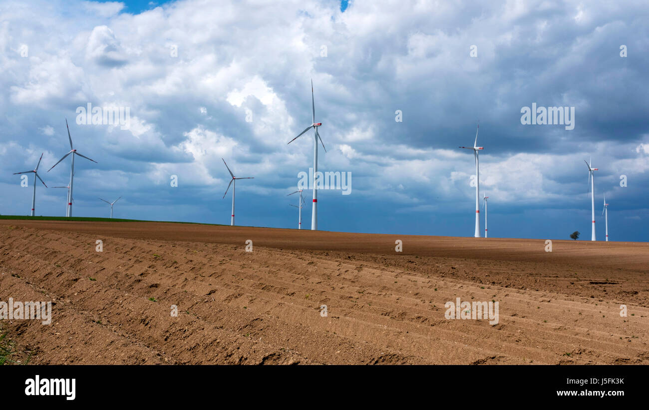 Le turbine eoliche vicino a Bockenheim / Weinstraße, Renania-Palatinato, Germania Foto Stock