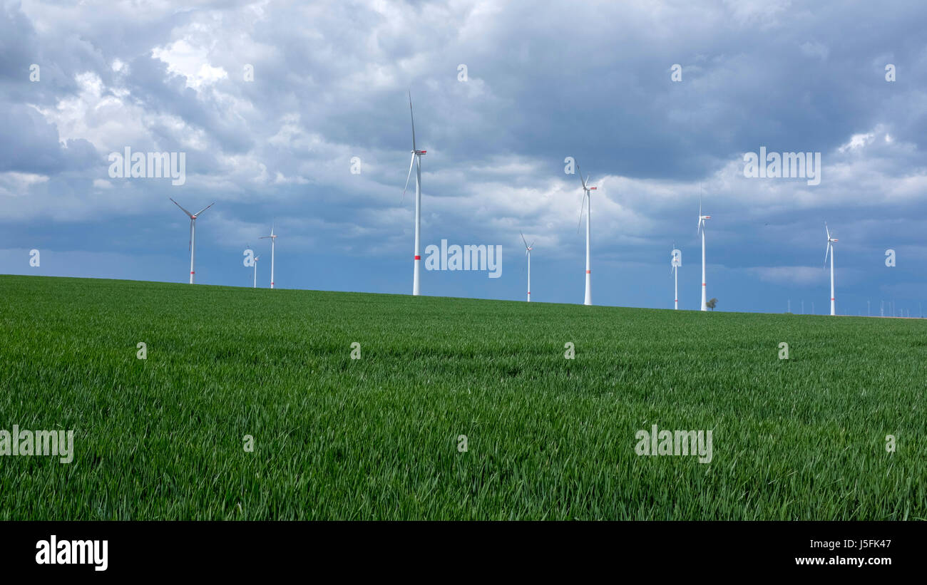 Le turbine eoliche vicino a Bockenheim / Weinstraße, Renania-Palatinato, Germania Foto Stock