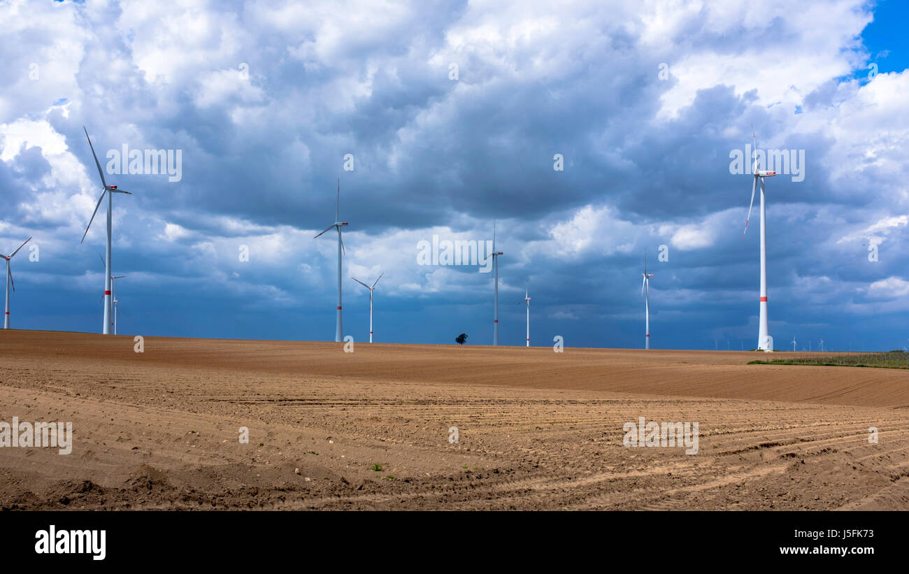 Le turbine eoliche vicino a Bockenheim / Weinstraße, Renania-Palatinato, Germania Foto Stock