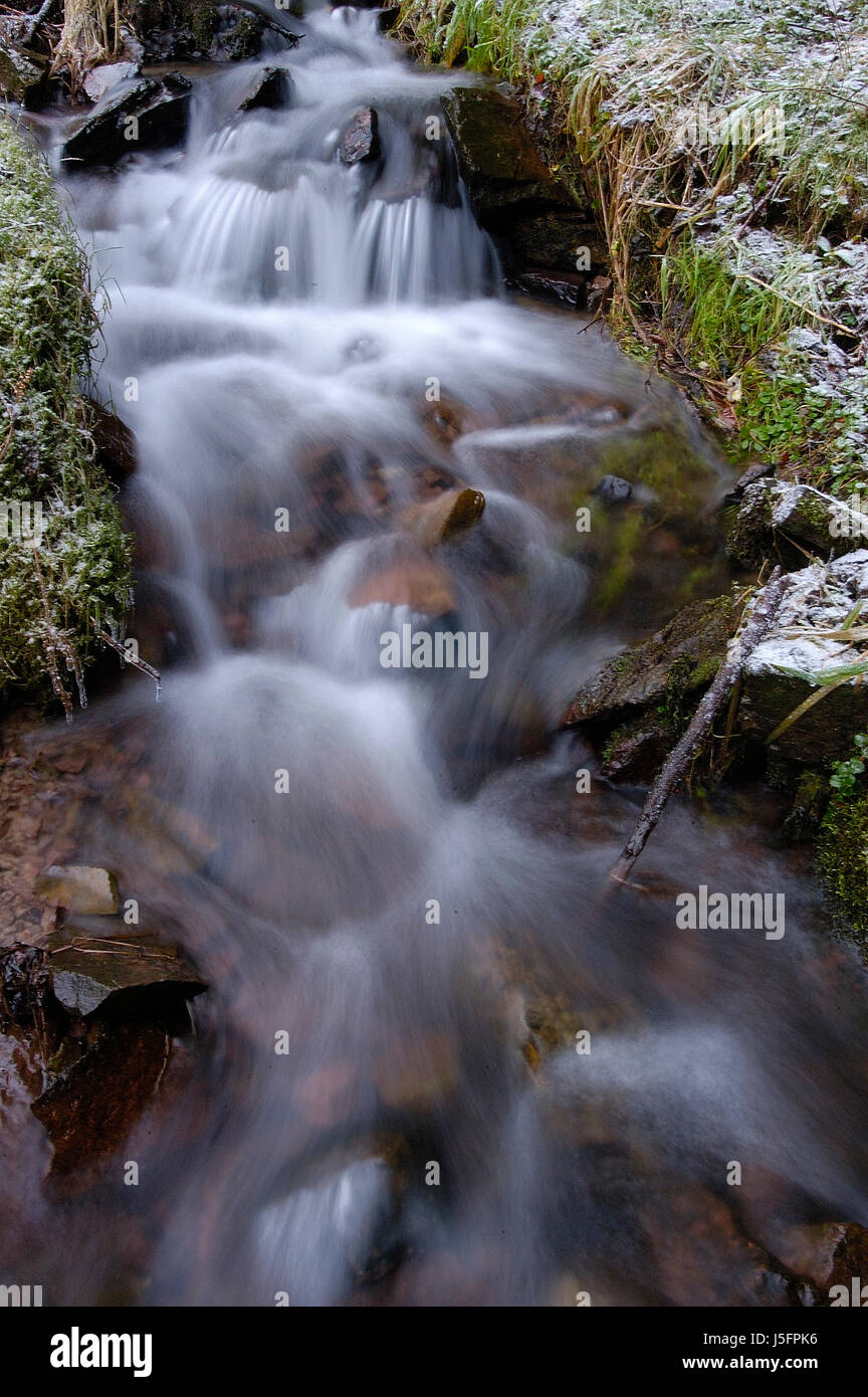 La corrente di flusso del fiume erba di prato prato verde natura acqua acqua di pietre Foto Stock