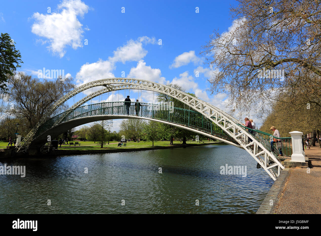 Fiori di Primavera, il Fiume Great Ouse terrapieno di notte, Bedford città; Bedfordshire County, England, Regno Unito Foto Stock