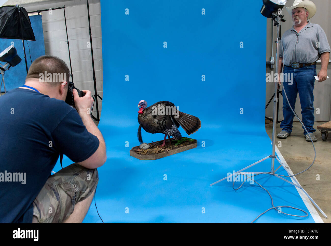 16 maggio 2017 - Peoria, Illinois, Stati Uniti - Una domanda di partecipazione al concorso è fotografata al mondo 2017 tassidermia e pesci campionati del carving. Oltre 36 mila dollari in contanti verranno assegnati ai vincitori di vari concorsi durante i cinque giorni della fiera.(Immagine di credito: © Brian Cahn via ZUMA filo) Foto Stock