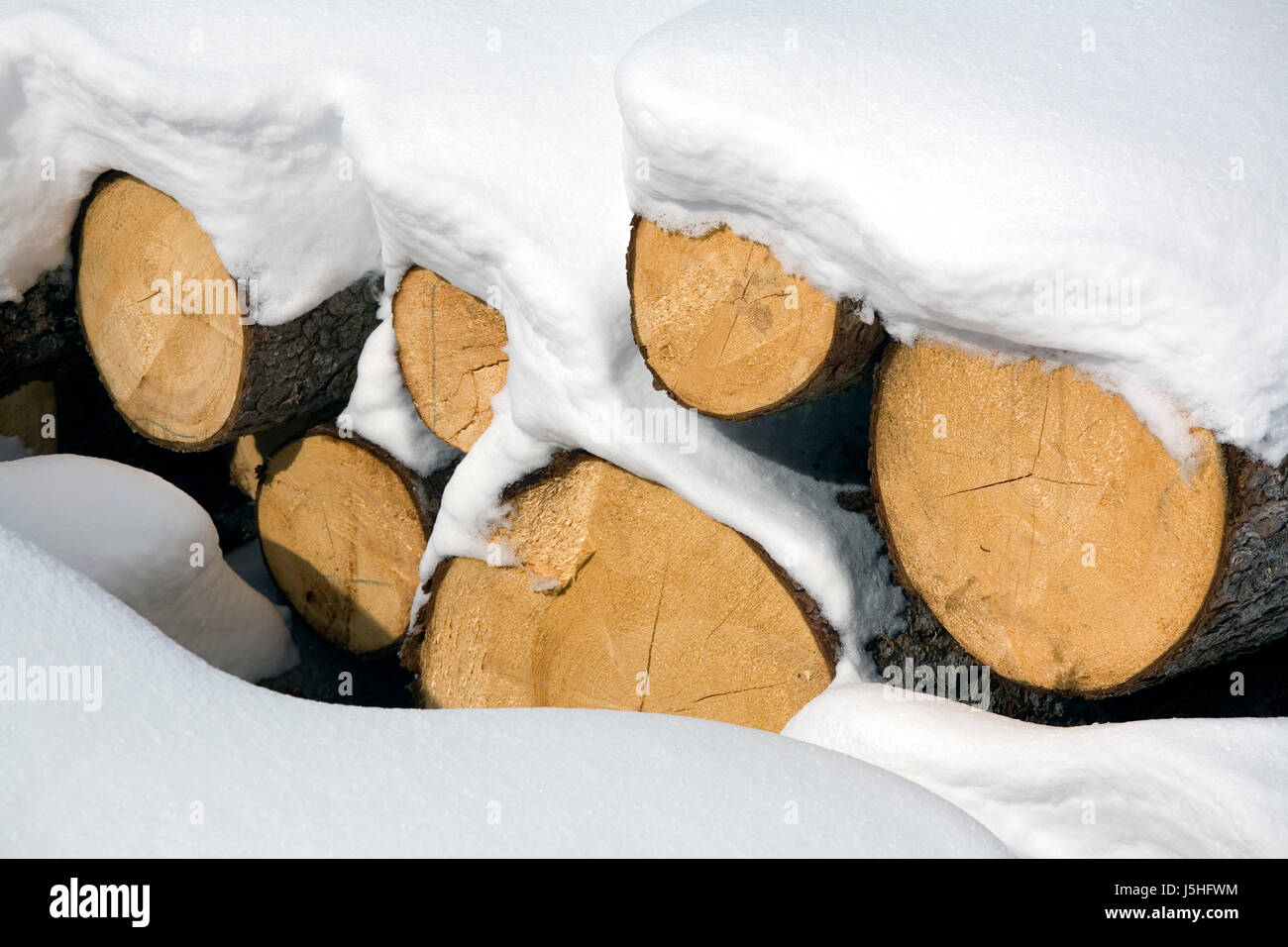 Inverno tronco di legno stack nevoso neve sullo sfondo della foresta di sfondo natura holzlager Foto Stock