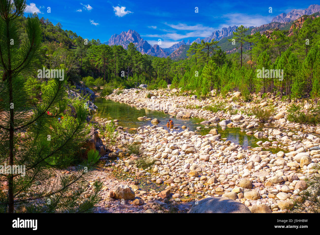 Alberi di pino al Col de Bavella montagne vicino Zonza town, Corsica, Francia, Europa. Foto Stock