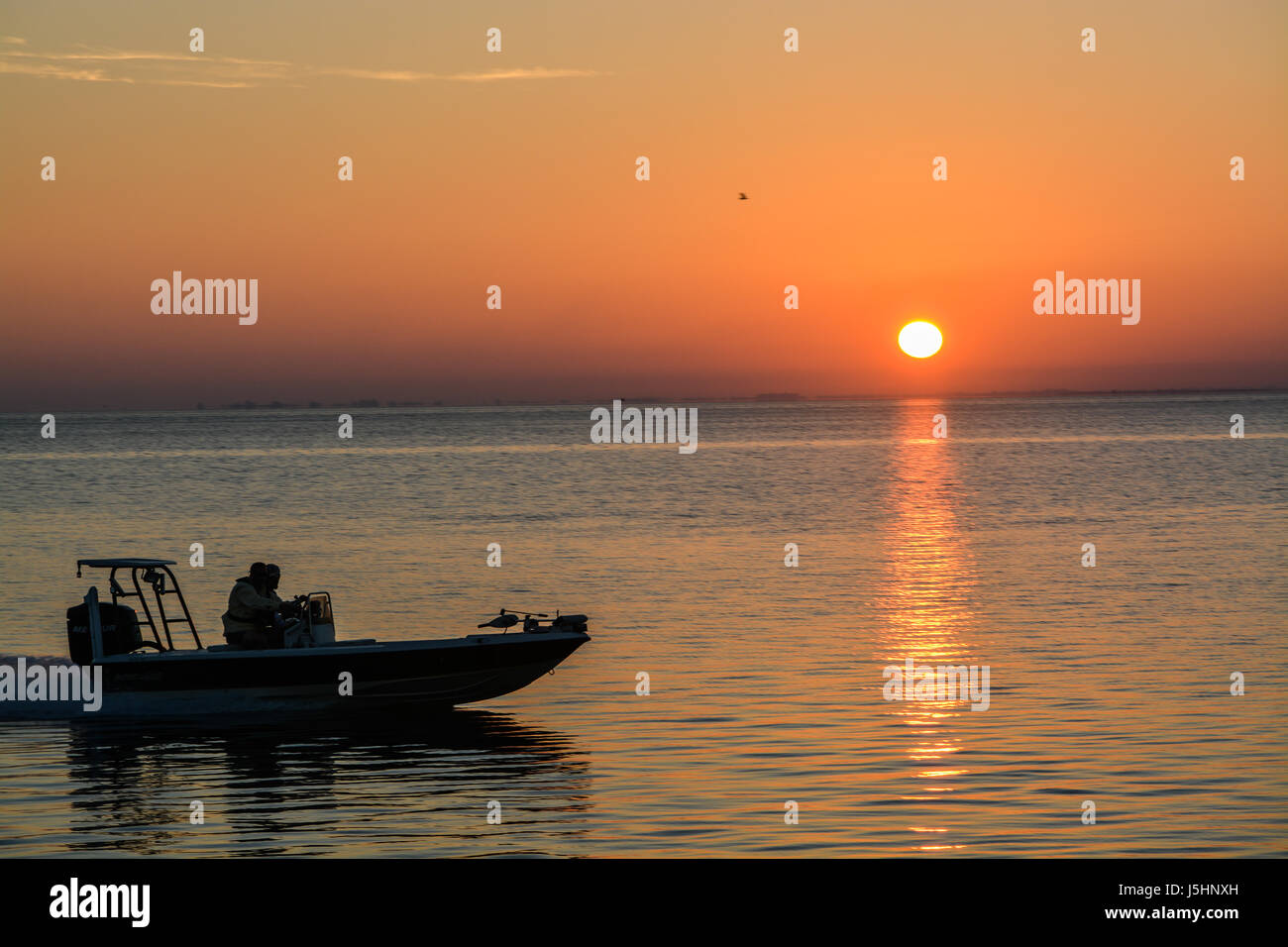 Il contorno di una barca di accelerazione sulla baia di Tampa all'alba. Foto Stock