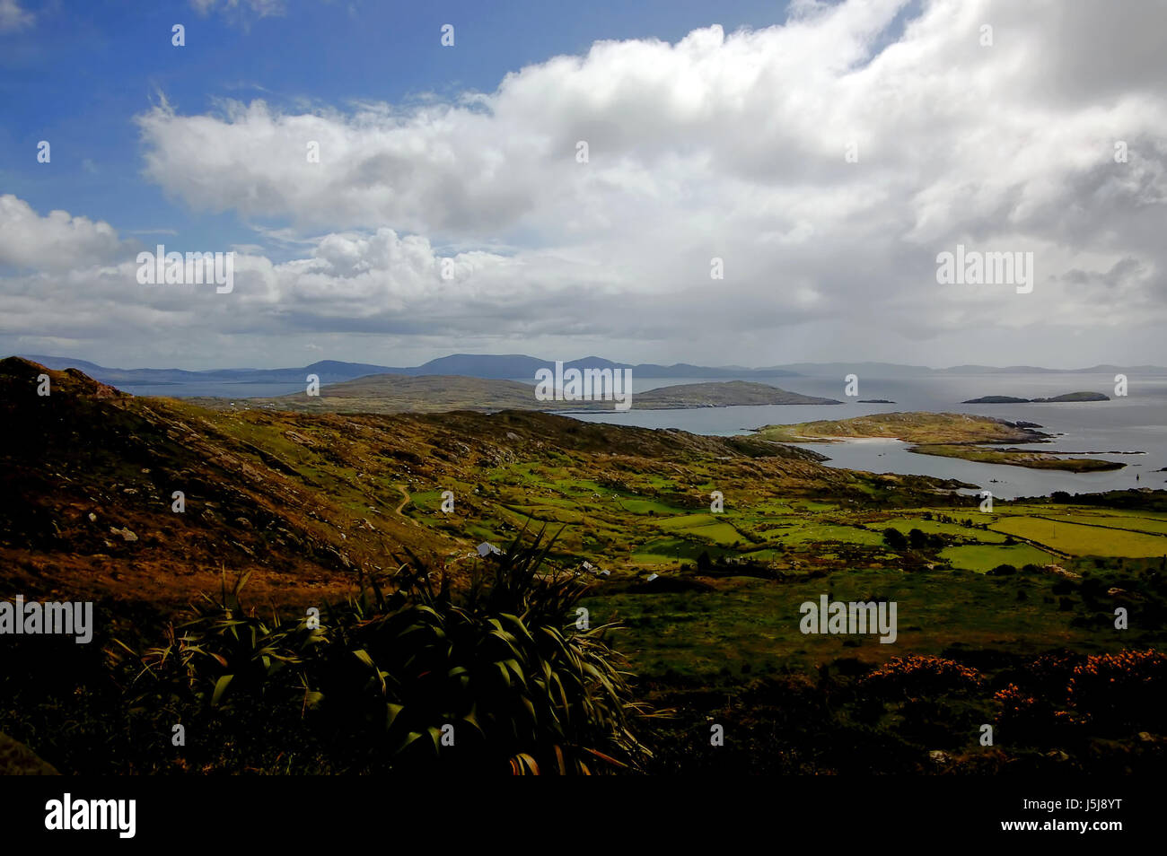 Montagne Agricoltura Agricoltura boccole Irlanda penisola usa acqua di sale di mare Foto Stock