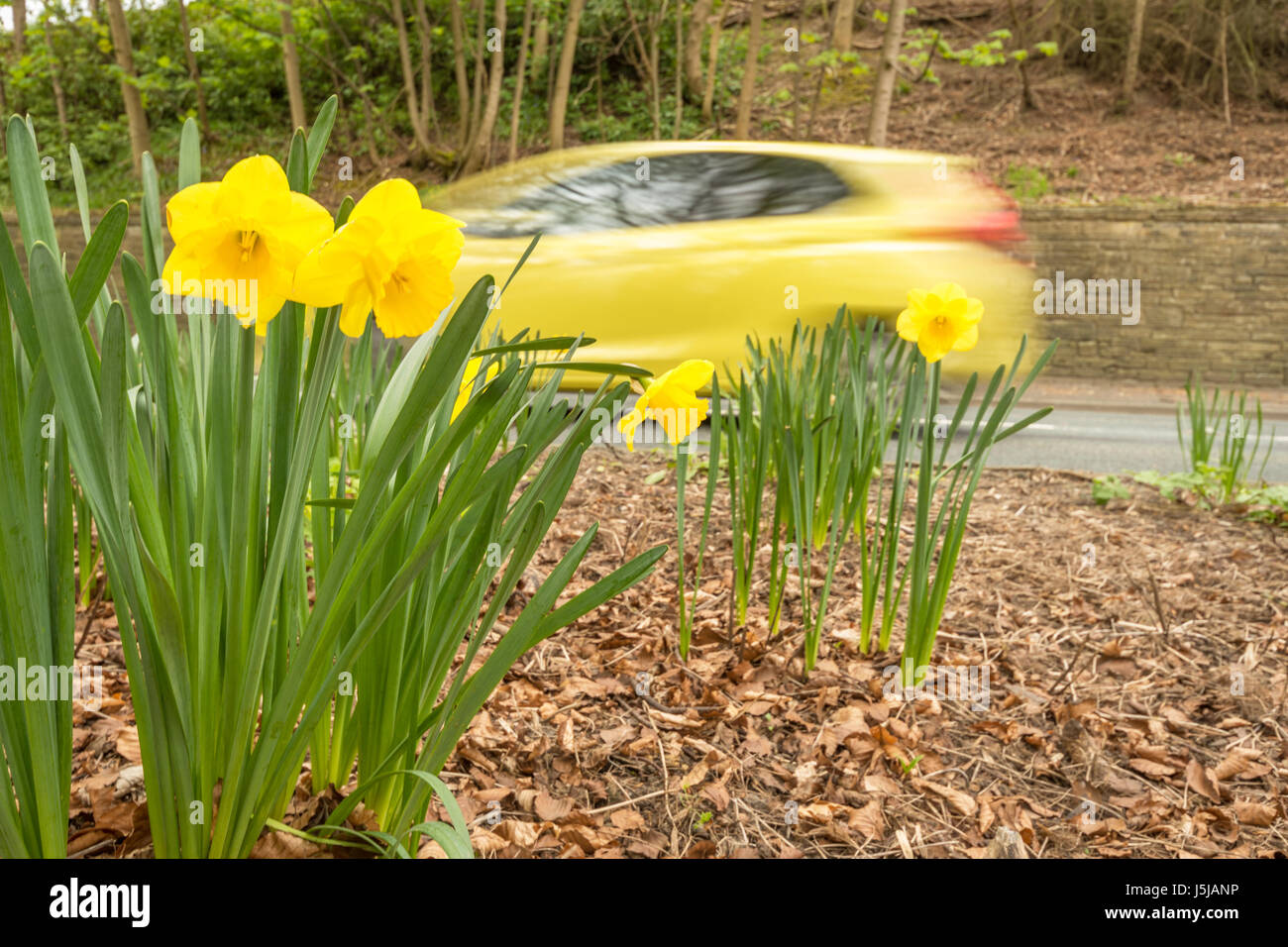 Un giallo auto pilotati veloci e accelerazione Foto Stock