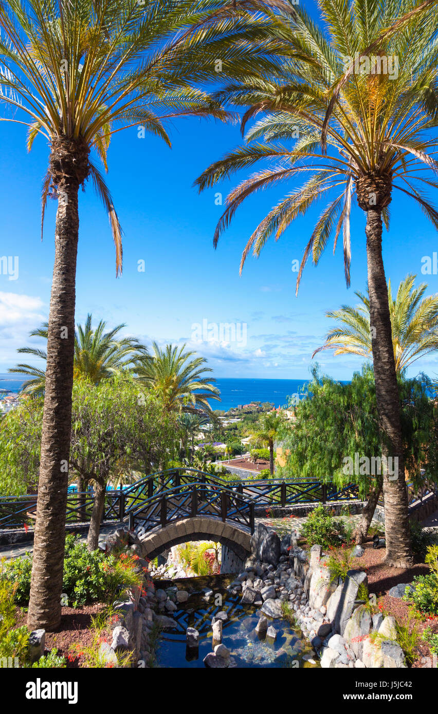 Vista panoramica sulla Costa Adeje con alberi di palma e dell'Oceano Atlantico, Tenerife, Spagna Foto Stock