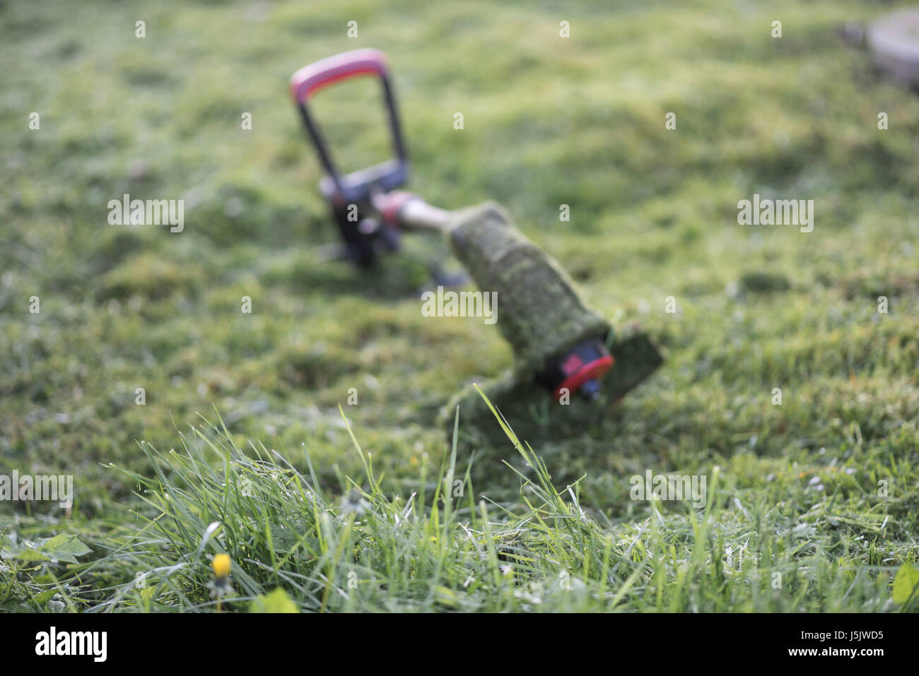 Trimmer stringa giace sul prato falciato medio del cantiere, strumento Foto Stock