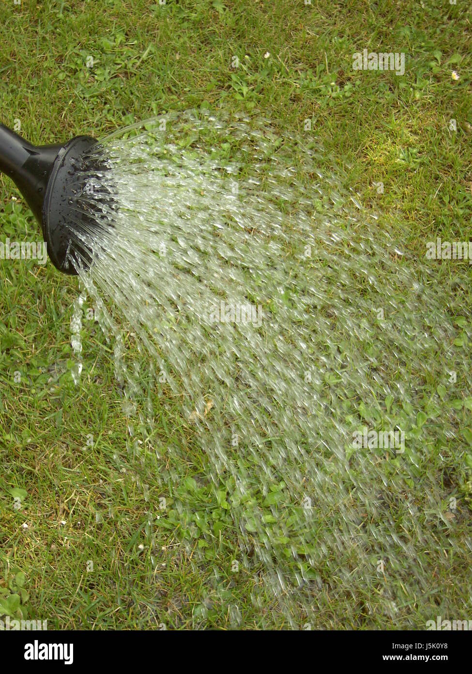 Giardino verde bagnato giardini caraffa pour innaffiatoio prato prato acqua goccia gocciolare Foto Stock