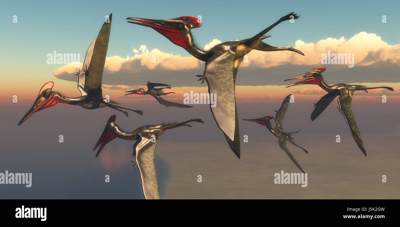 Pterodactylus pterosaurs in volo - un gregge di Pterodactylus Pterosaurs fly out all'oceano a caccia di pesce nel Giurassico. Foto Stock