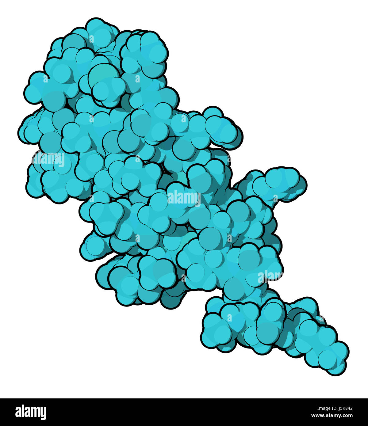 B-la maturazione della cellula (antigene BCMA, dominio extracellulare della proteina). 3D rendering basato su Protein Data Bank entry 2kn1. Foto Stock