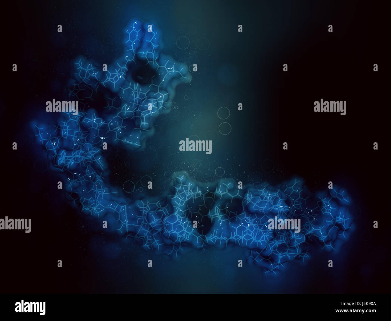 Cistatina C (V57D mutante). Proteina usata come biomarker della funzione renale. 3D rendering basato su Protein Data Bank entry 3sva. Foto Stock