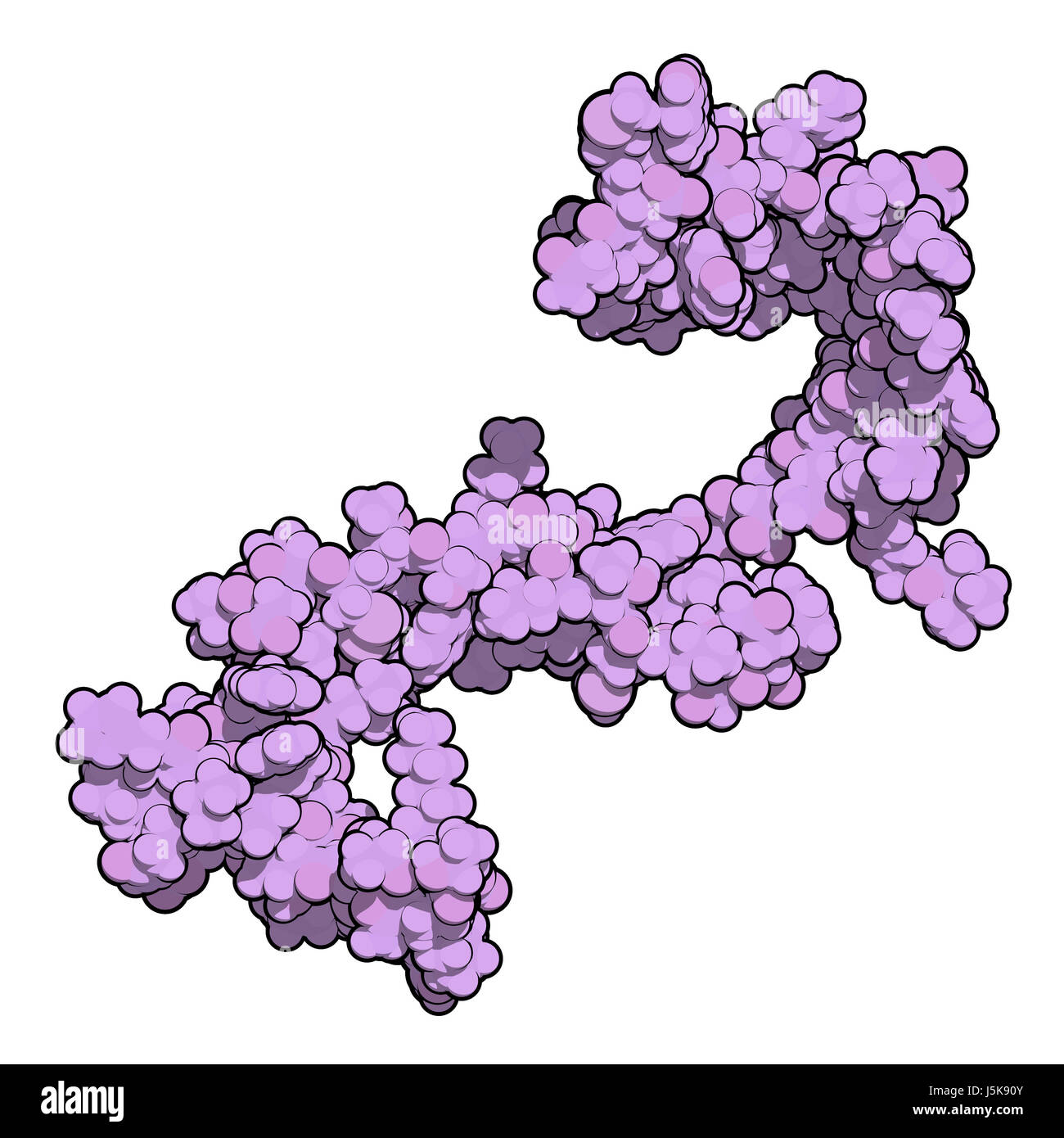 Cistatina C (V57D mutante). Proteina usata come biomarker della funzione renale. 3D rendering basato su Protein Data Bank entry 3sva. Foto Stock