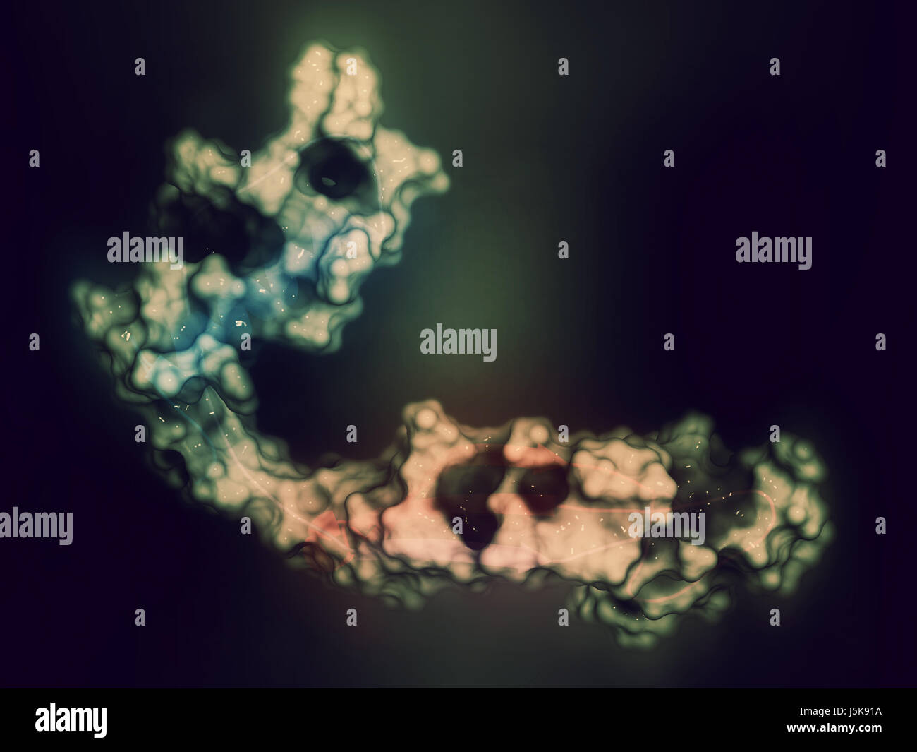 Cistatina C (V57D mutante). Proteina usata come biomarker della funzione renale. 3D rendering basato su Protein Data Bank entry 3sva. Foto Stock