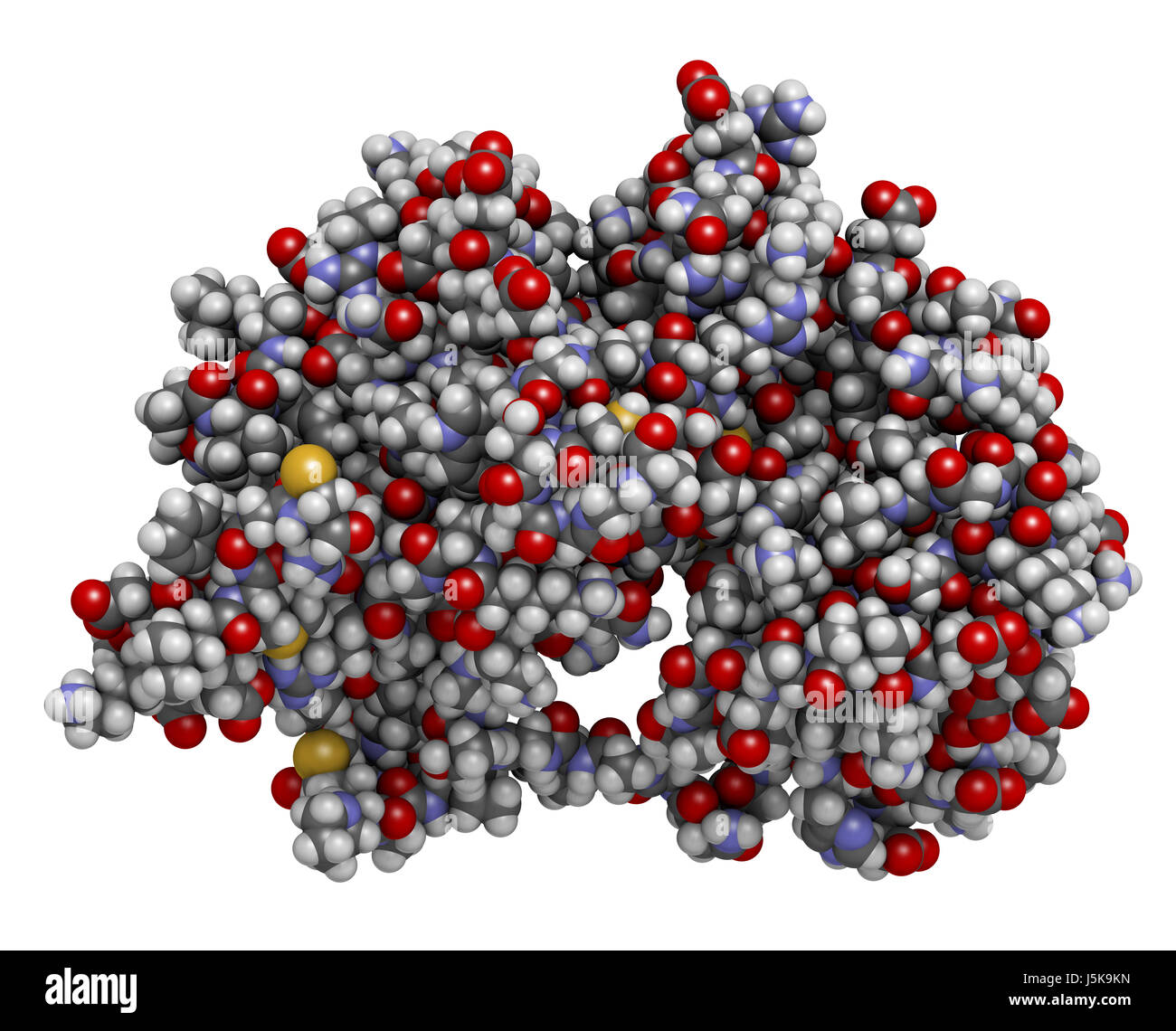 MEK1 o la protein chinasi mitogena attivata chinasi 1 (coniglio) proteina. Inibitori di MEK sono usati nel trattamento del cancro e include cobimetinib. Foto Stock